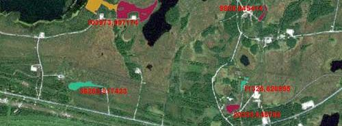 Environmental monitoring of oil pollution based on satellite images