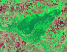 Actualization of forest inventory materials based on remote sensing data (on the example of Buzuluksky Bor NP)