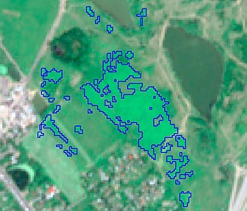 Monitoring of Sosnovsky's borschweed
