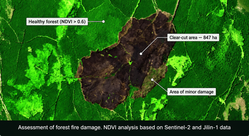 assessment of forest fire dam.png