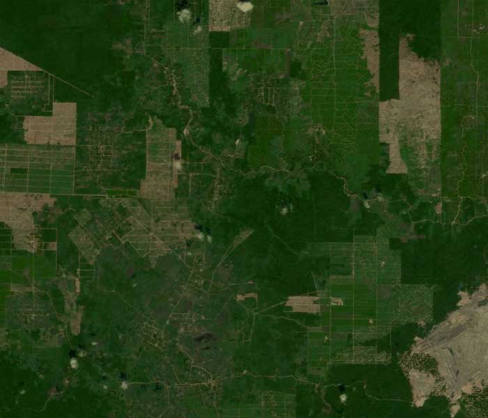 Рис.-2-Снимок-со-спутника-Deimos-1,-пространственное-разрешение-22-м.jpg