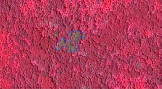 Fig. 3 Fragment of the image with the identified focus of shrinkage in the KOMPSat-3 image