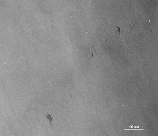 Рис. 3 Фрагмент снимка со спутника Sentinel-1A. Проявление нефтяных пятен спустя 12 часов после начала сброса.