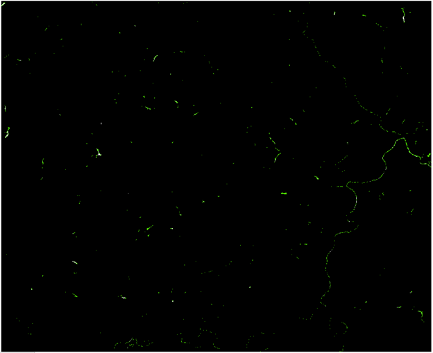 Снимок со спутника Sentinel-2B, перерасчет в WRI, город Ливны площадью 2260 км2, классифицированное изображение
