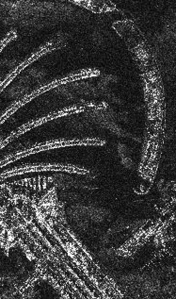 SAR imagery (Radar satellite data)