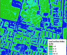 Fig.1 Distribution of leaf surface index values