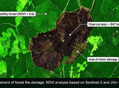 Satellite imagery for forest leaseholders: why, when and how it works