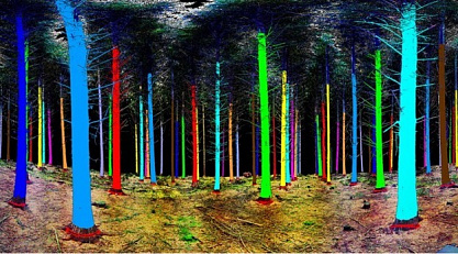 Application of remote sensing methods in forestry