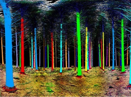 Application of remote sensing methods in forestry