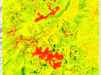 Fire assessment from satellite imagery