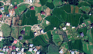 SuperView Neo 1-01/02, 