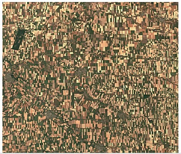 Possibilities of using multi-temporal Sentinel 2 images for agricultural land monitoring