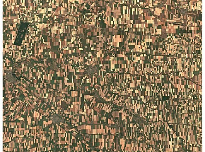 Possibilities of using multi-temporal Sentinel 2 images for agricultural land monitoring