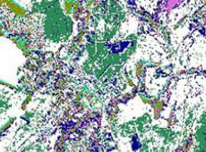 Using space data to search and assess stocks of medicinal plants
