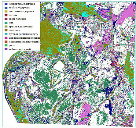 Digital map with the orthophotomap in natural colors