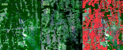 Environmental studies using remote sensing methods
