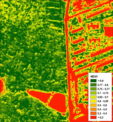 Fig.2 Example of distribution of normalized relative vegetation index