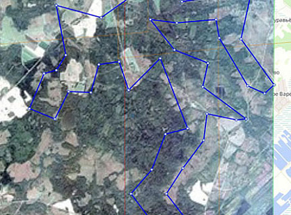 Supply of satellite imagery to the forest-covered territories