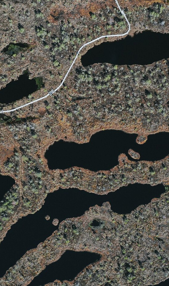 Aerial photography (ASF / UAV)