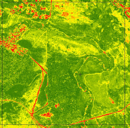 NDVI index