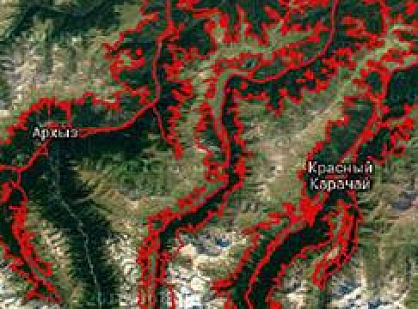 Information support of the processed space imagery in the territory of forestry