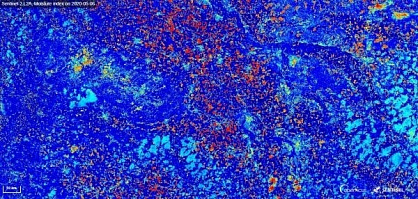 Satellite imagery captures drought in Europe