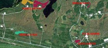 Environmental monitoring of oil pollution based on satellite images