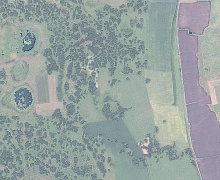 Космический снимок леса GaoFen-1 Курганская область масштаб 1:25 000