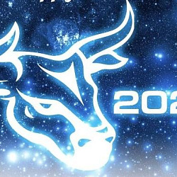 С 2021 Новым годом и Рождеством!