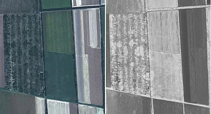 Why do you need the NDVI vegetative index?