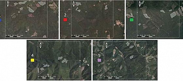 Дистанционный мониторинг земель лесного фонда Приморского края
