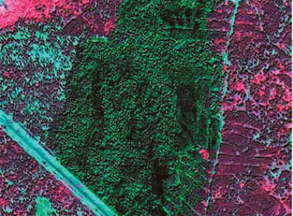 Forest taxation within the territory of the Buzuluksky Bor national park