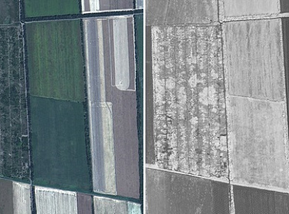 Зачем нужен вегетационный индекс NDVI?