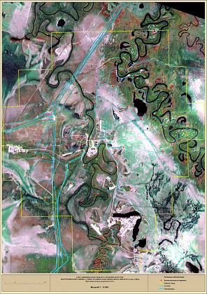 Situational spacemap of the Punginskoye UGS