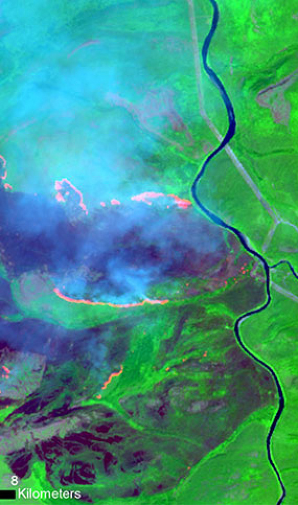 Forest Health Monitoring