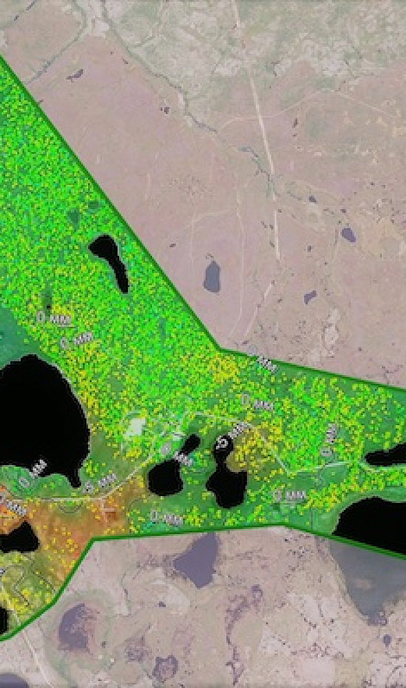 Seismic microzonation (Subsurface Imaging)