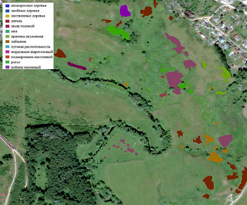Orthophotomap of the key area with an etalon overlayer