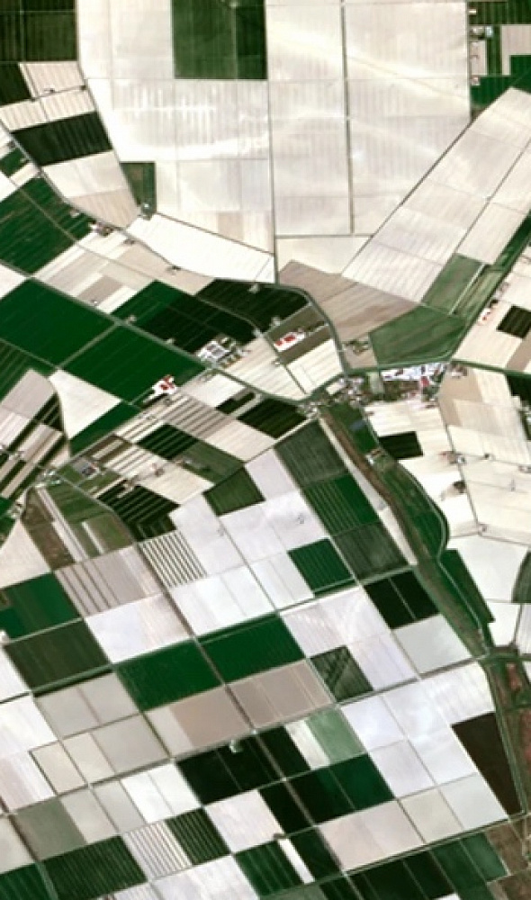 Digital agriculture mapping (Crop monitoring)