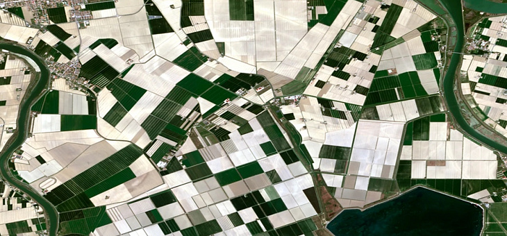 Digital agriculture mapping (Crop monitoring)