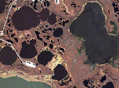 Creation of orthophotomap of 1:5000 scale for a gas pipeline in the Yamalo-Nenets Autonomous Okrug