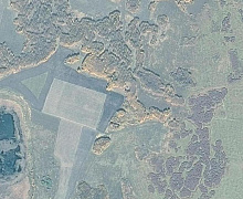 Снимок леса со спутника GaoFen-1, Курганская область масштаб 1:10 000