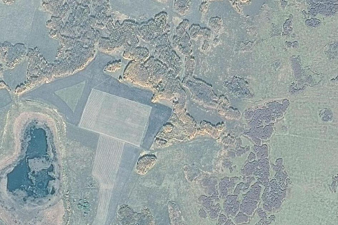 Снимок леса со спутника GaoFen-1, Курганская область масштаб 1:10 000