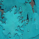 Антарктический полуостров, снимок со спутника Landsat-8 © NASA, USGS, дата съемки 11.01.2014 г.