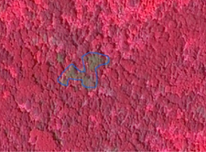 Monitoring and assessment of green areas using aerospace imagery