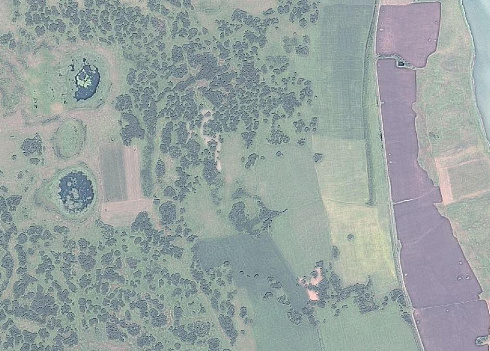 A snapshot of the forest from the GaoFen-1 satellite Kurgan Region, scale 1:25000