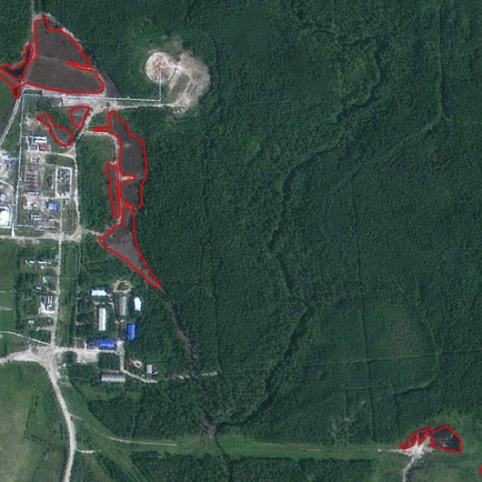  Assessment of the oil and gas potential of the field in the licensed area