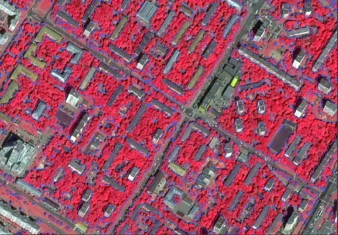 Fig. 2 Example of Woody-Shrub Vegetation Layer Fragment.png