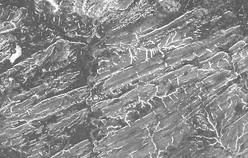 Рисунок 3. Фрагмент ПМДО Landsat-8 канал 1 (Coastal aerosol) - 0.443 мкм