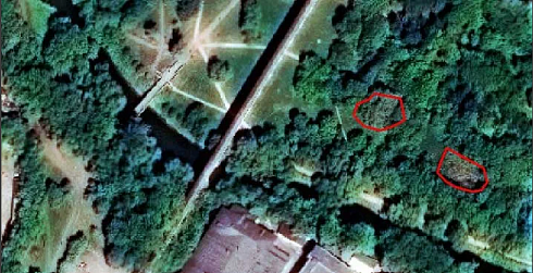 Fig. 3 Examples of Woody-Shrub Vegetation Drying Out Areas.png