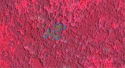 Fig. 3 Fragment of the image with the identified focus of shrinkage in the KOMPSat-3 image